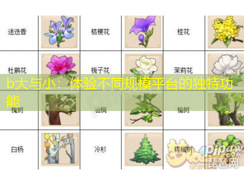 b大與小：體驗(yàn)不同規(guī)模平臺(tái)的獨(dú)特功能