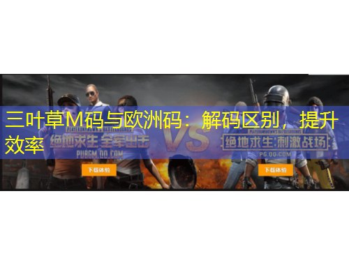 三葉草M碼與歐洲碼：解碼區(qū)別，提升效率