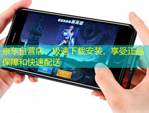 京東自營店：極速下載安裝，享受正品保障和快速配送