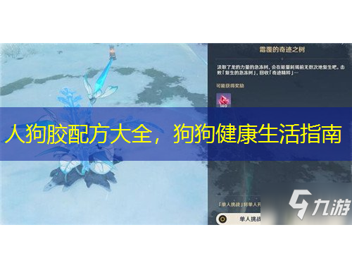 人狗膠配方大全，狗狗健康生活指南