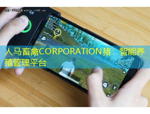 人馬畜禽CORPORATION豬：智能養(yǎng)殖管理平臺(tái)