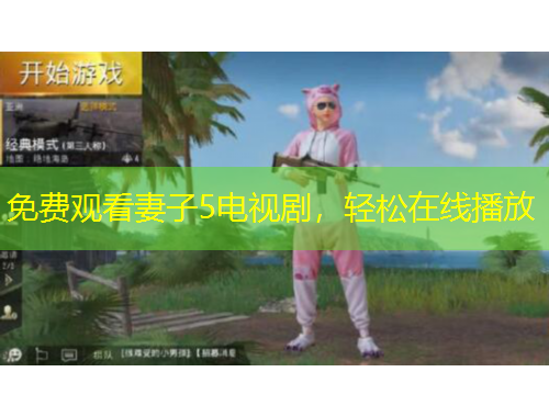 免費(fèi)觀看妻子5電視劇，輕松在線播放