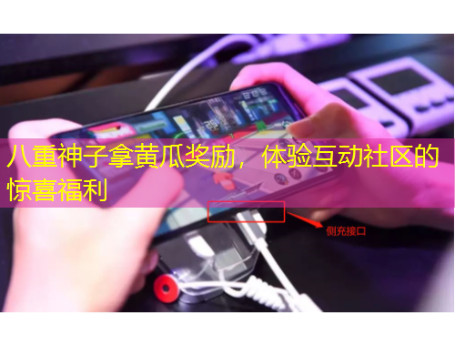 八重神子拿黃瓜獎勵，體驗互動社區(qū)的驚喜福利