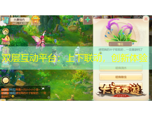 雙層互動平臺：上下聯(lián)動，創(chuàng)新體驗