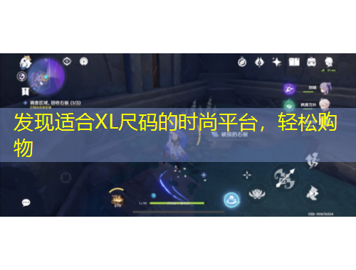 發(fā)現(xiàn)適合XL尺碼的時尚平臺，輕松購物