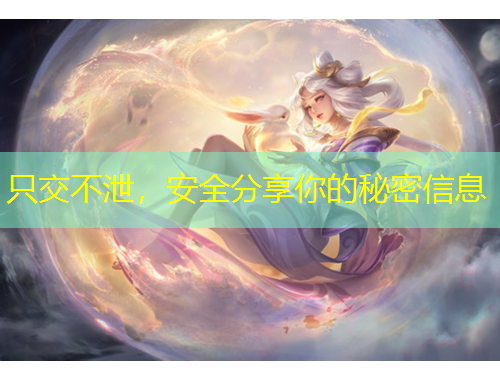 只交不泄，安全分享你的秘密信息