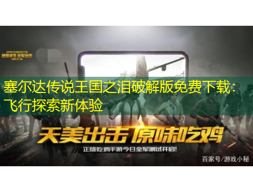 塞爾達(dá)傳說(shuō)王國(guó)之淚破解版免費(fèi)下載：飛行探索新體驗(yàn)