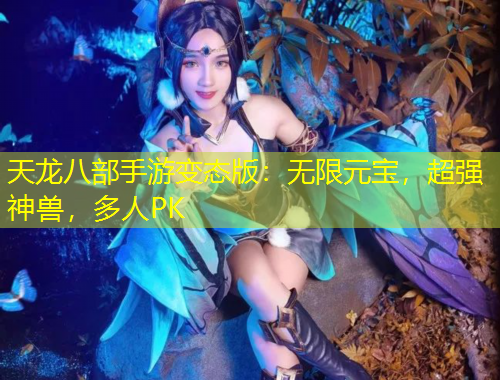 天龍八部手游變態(tài)版：無限元寶，超強神獸，多人PK