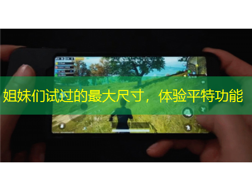 姐妹們試過的最大尺寸，體驗(yàn)平特功能