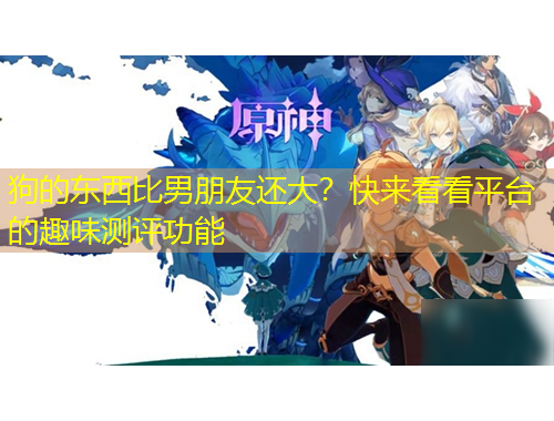 狗的東西比男朋友還大？快來看看平臺的趣味測評功能