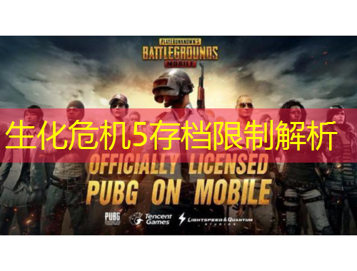 生化危機(jī)5存檔限制解析
