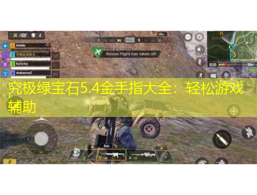 究極綠寶石5.4金手指大全：輕松游戲輔助