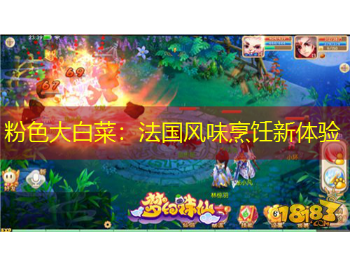 粉色大白菜：法國(guó)風(fēng)味烹飪新體驗(yàn)