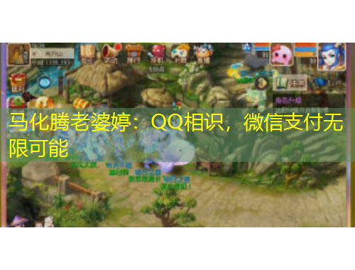 馬化騰老婆婷：QQ相識(shí)，微信支付無(wú)限可能