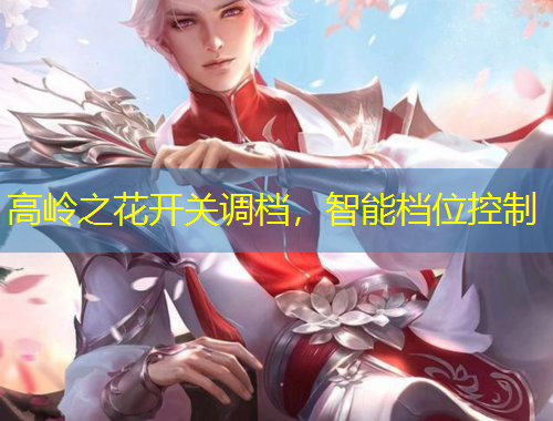 高嶺之花開關(guān)調(diào)檔，智能檔位控制