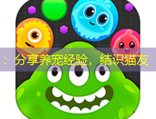 ：分享養(yǎng)寵經(jīng)驗，結識貓友