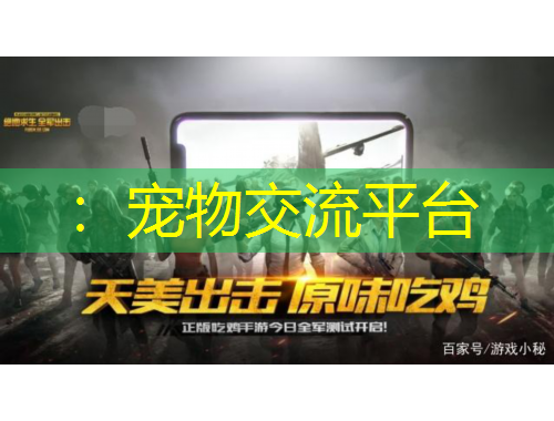 ：寵物交流平臺(tái)