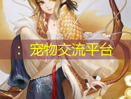 ：寵物交流平臺(tái)