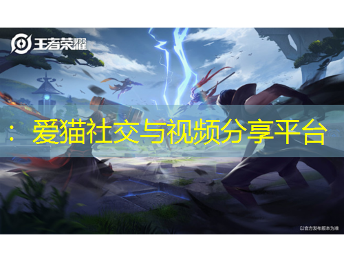 ：愛(ài)貓社交與視頻分享平臺(tái)