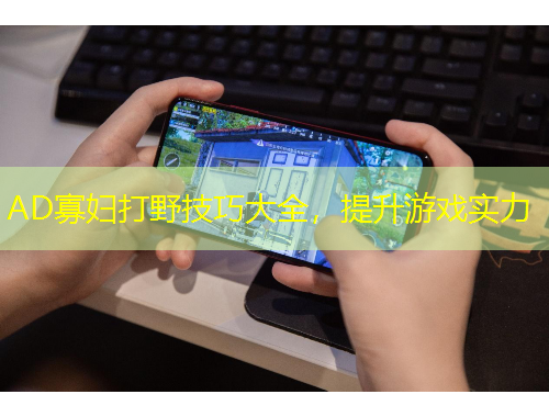 AD寡婦打野技巧大全，提升游戲?qū)嵙? title=