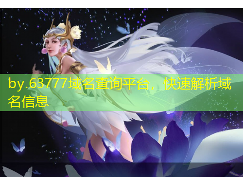 by.63777域名查詢平臺，快速解析域名信息
