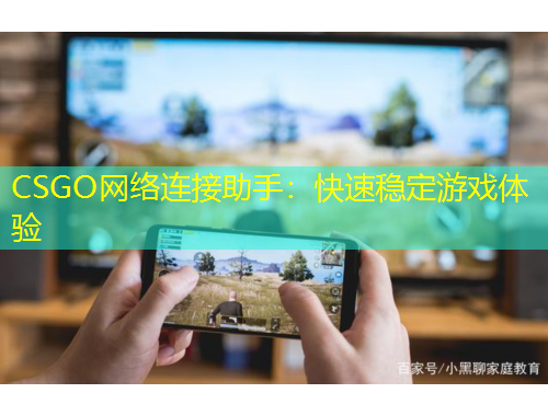 CSGO網(wǎng)絡(luò)連接助手：快速穩(wěn)定游戲體驗(yàn)