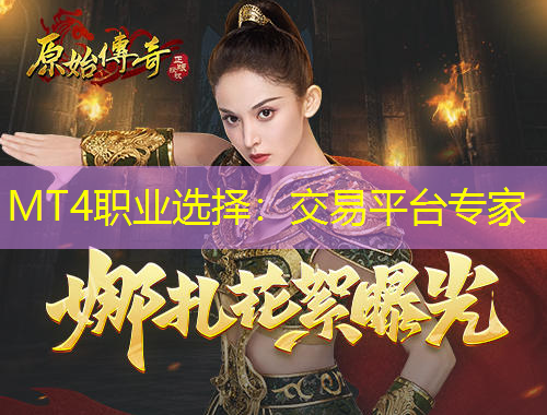 MT4職業(yè)選擇：交易平臺(tái)專家