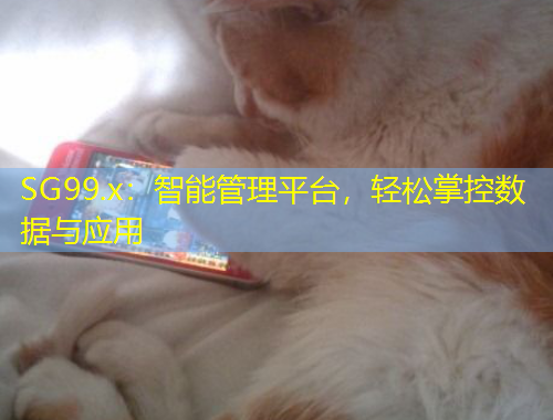SG99.x：智能管理平臺，輕松掌控數(shù)據(jù)與應(yīng)用