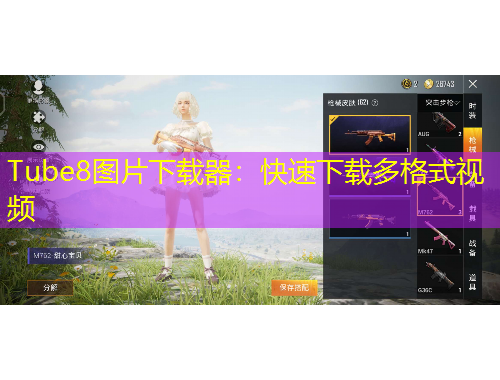 Tube8圖片下載器：快速下載多格式視頻