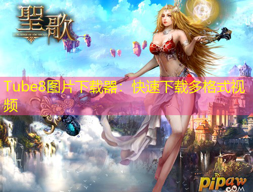 Tube8圖片下載器：快速下載多格式視頻