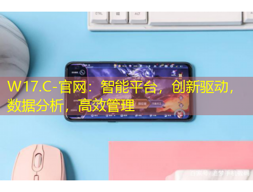 W17.C-官網(wǎng)：智能平臺，創(chuàng)新驅(qū)動，數(shù)據(jù)分析，高效管理