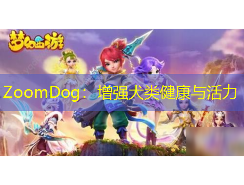 ZoomDog：增強(qiáng)犬類健康與活力