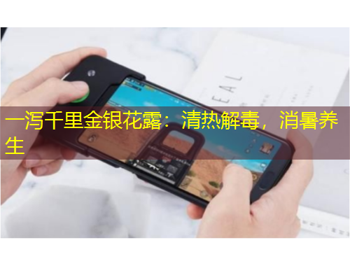 一瀉千里金銀花露：清熱解毒，消暑養(yǎng)生