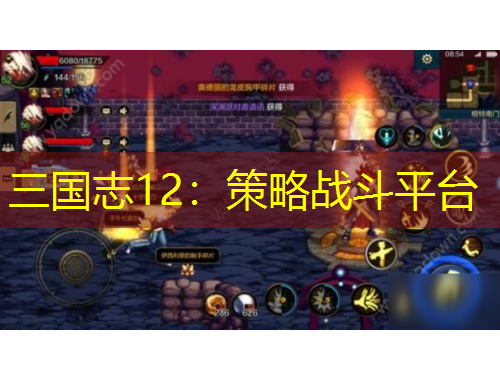 三國(guó)志12：策略戰(zhàn)斗平臺(tái)