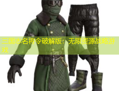 三國(guó)志名將令破解版：無限資源戰(zhàn)略游戲