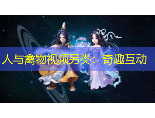 人與禽物視頻另類：奇趣互動