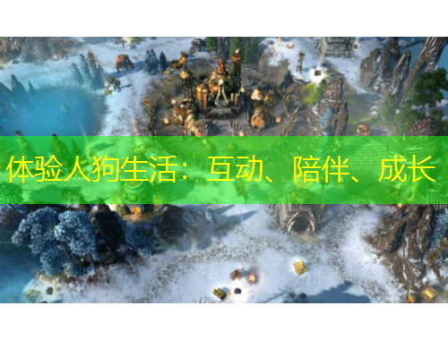 體驗(yàn)人狗生活：互動(dòng)、陪伴、成長(zhǎng)