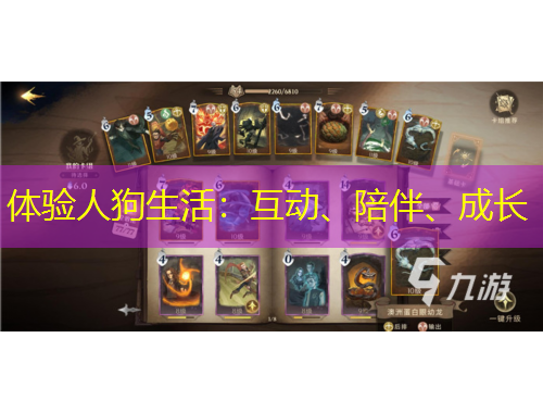 體驗(yàn)人狗生活：互動(dòng)、陪伴、成長(zhǎng)