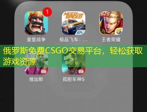 俄羅斯免費(fèi)CSGO交易平臺(tái)，輕松獲取游戲資源