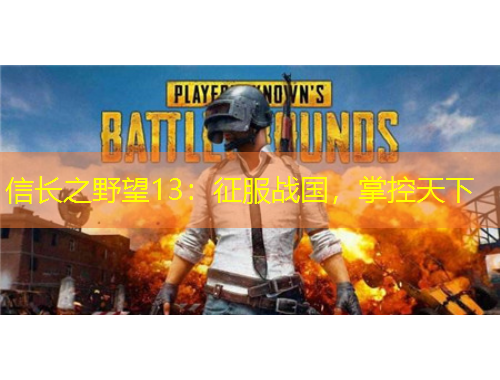 信長之野望13：征服戰(zhàn)國，掌控天下