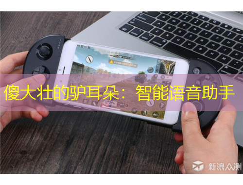 傻大壯的驢耳朵：智能語音助手