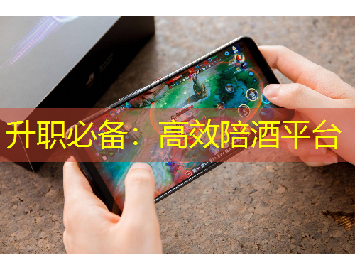 升職必備：高效陪酒平臺(tái)