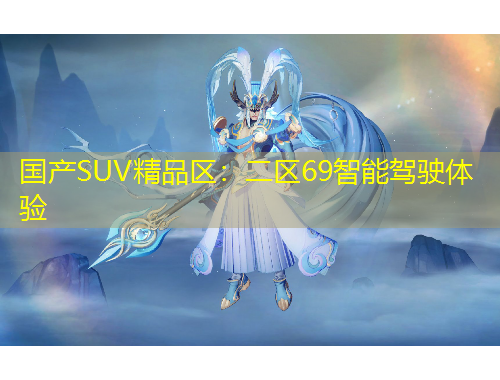 國(guó)產(chǎn)SUV精品區(qū)：二區(qū)69智能駕駛體驗(yàn)