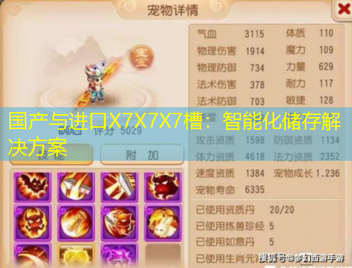 國產(chǎn)與進(jìn)口X7X7X7槽：智能化儲存解決方案