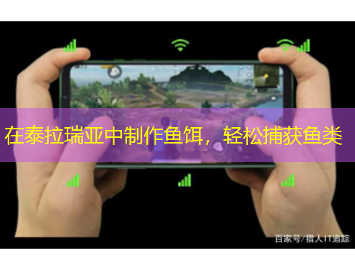 在泰拉瑞亞中制作魚餌，輕松捕獲魚類