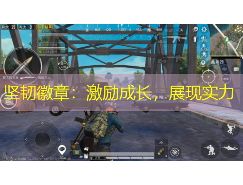 堅韌徽章：激勵成長，展現(xiàn)實(shí)力