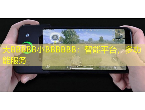 大BBBBB小BBBBBB：智能平臺，多功能服務(wù)
