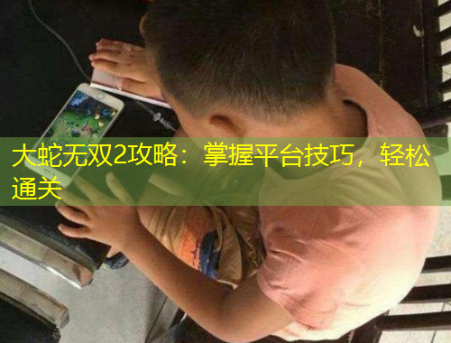 大蛇無(wú)雙2攻略：掌握平臺(tái)技巧，輕松通關(guān)