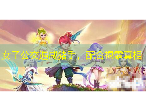 女子公交遇咸豬手，配合揭露真相