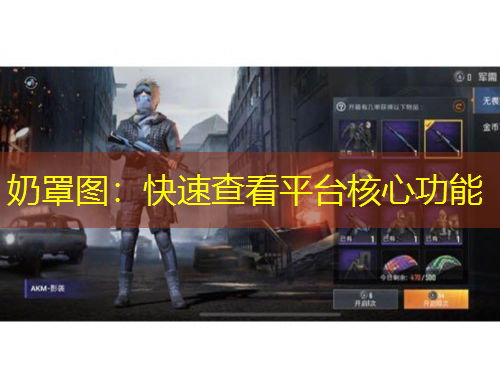 奶罩圖：快速查看平臺核心功能